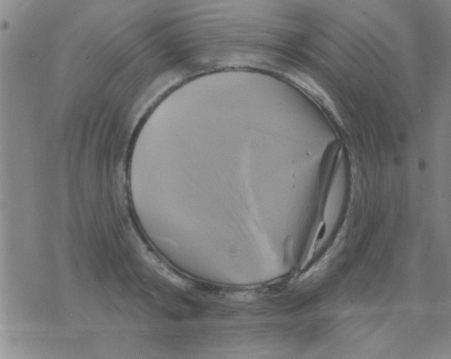 X0000075900798200610151815