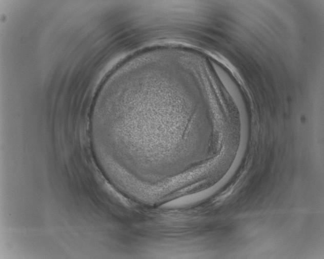 X0000075900799200610151815