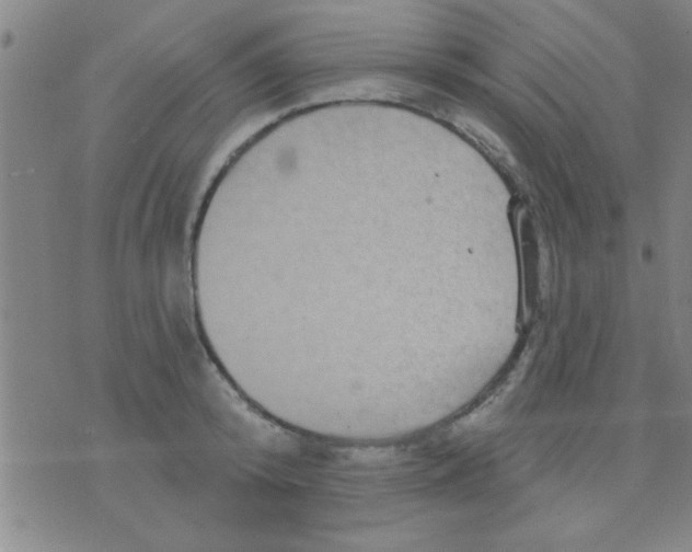 X0000075900800200610151815