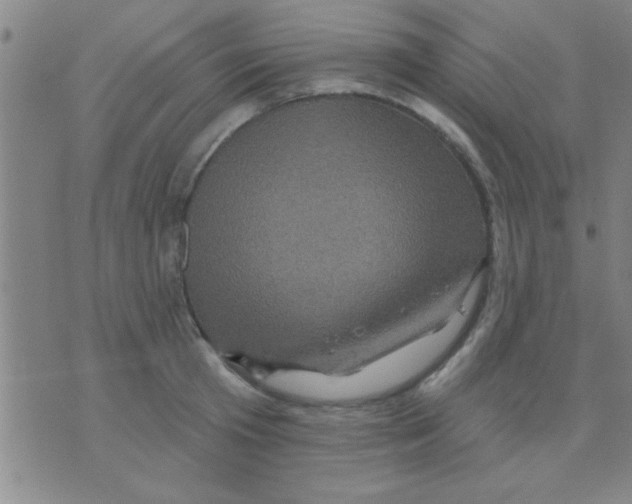 X0000075900801200610151815