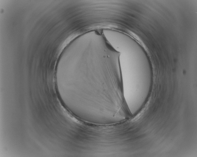 X0000075900802200610151815