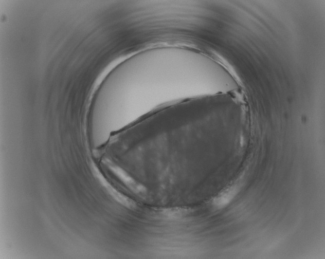 X0000075900803200610151815