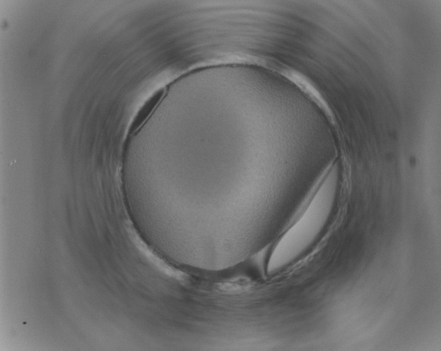 X0000075900805200610151815