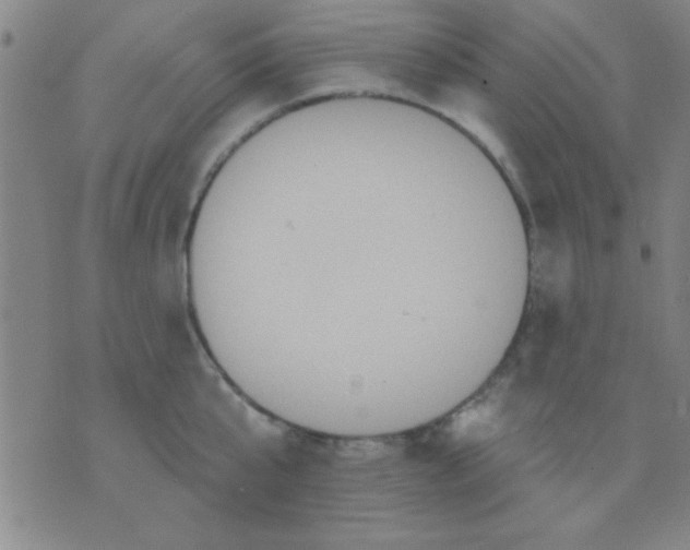 X0000075900807200610151815