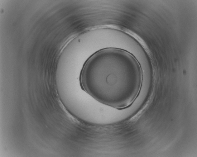 X0000075900809200610151815