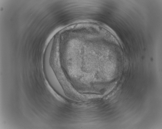 X0000075900811200610151814