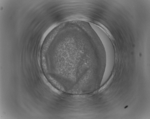 X0000075900812200610151814