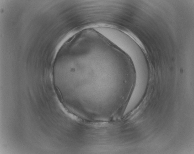 X0000075900813200610151814