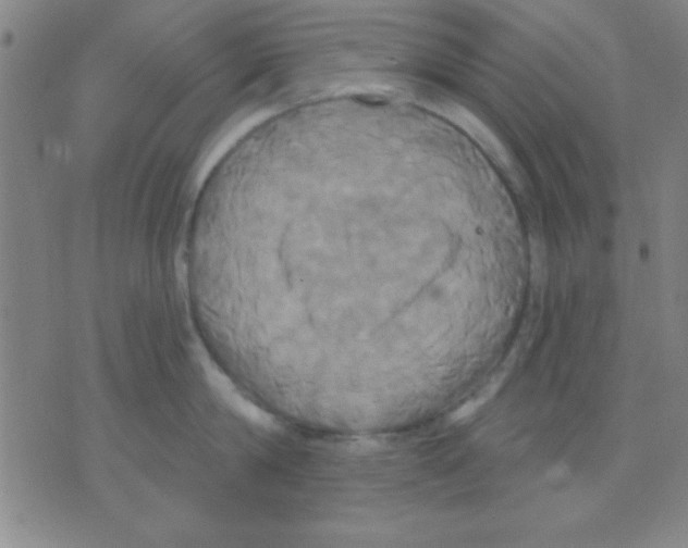 X0000075900814200610151814