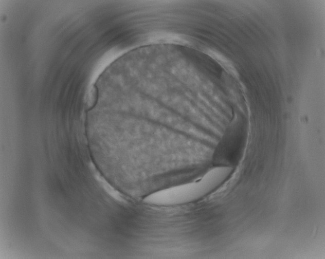 X0000075900816200610151814