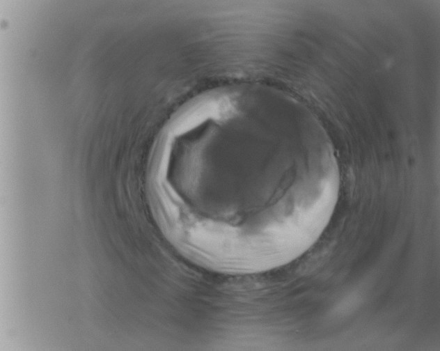 X0000075900817200610151814