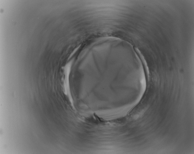 X0000075900818200610151814