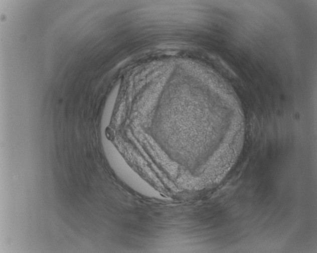 X0000075900821200610151814