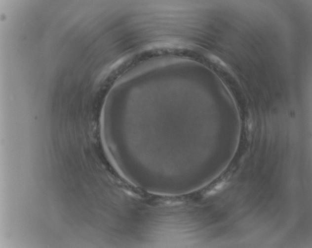 X0000075900822200610151814