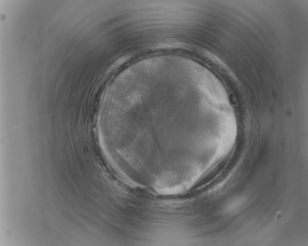 X0000075900825200610151814