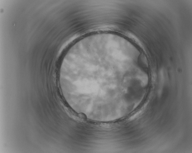 X0000075900827200610151814