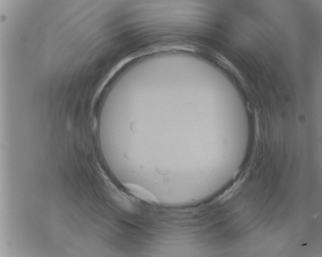 X0000075900828200610151814