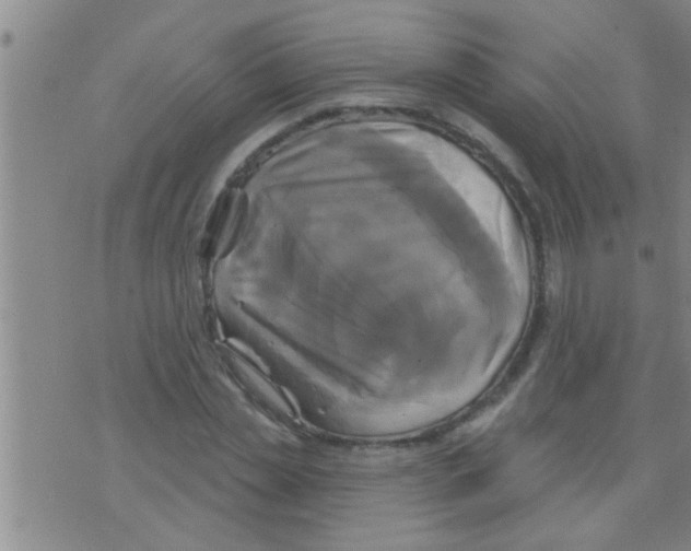 X0000075900829200610151814