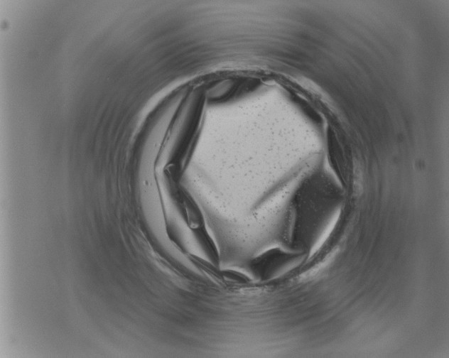 X0000075900830200610151814