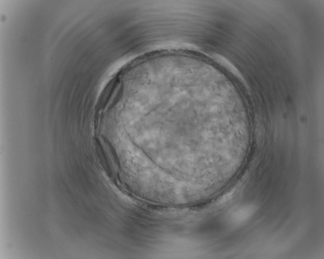 X0000075900831200610151814