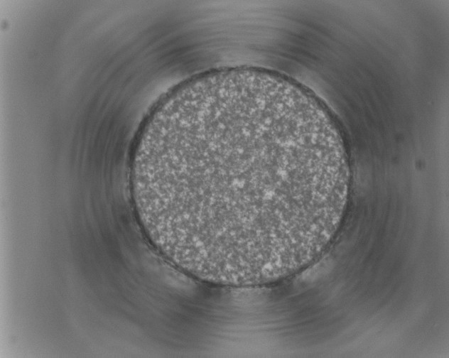 X0000075900832200610151814