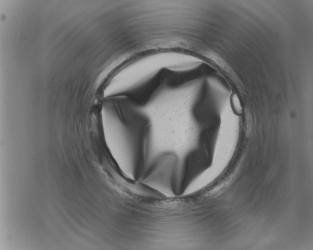 X0000075900834200610151814