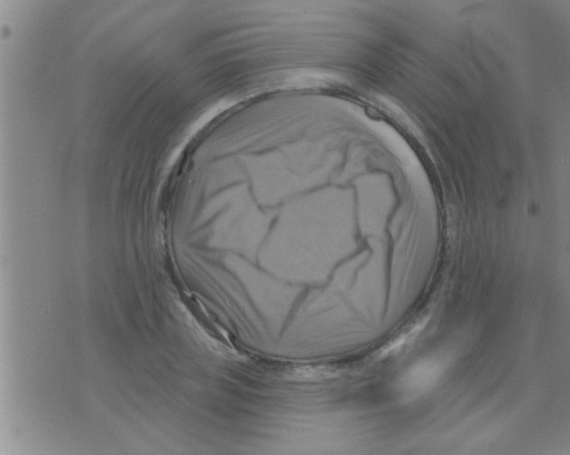 X0000075900835200610151814