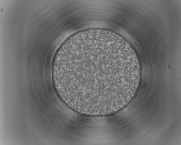 X0000075900836200610151814