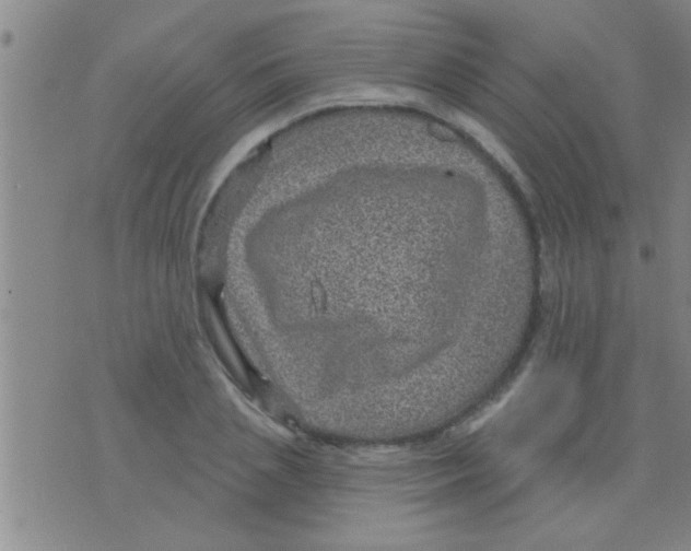 X0000075900837200610151814