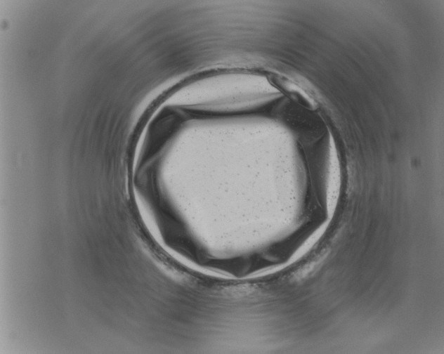 X0000075900838200610151814