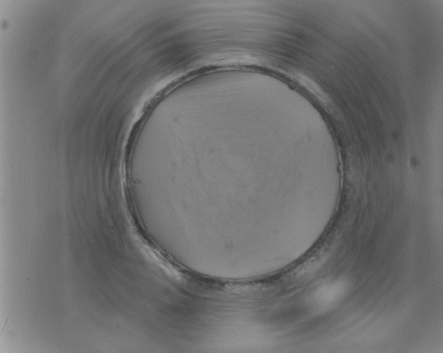 X0000075900840200610151814