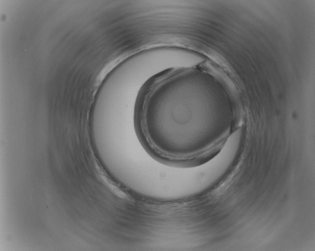 X0000075900842200610151814