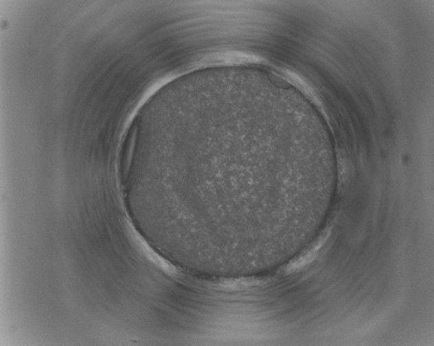 X0000075900843200610151814