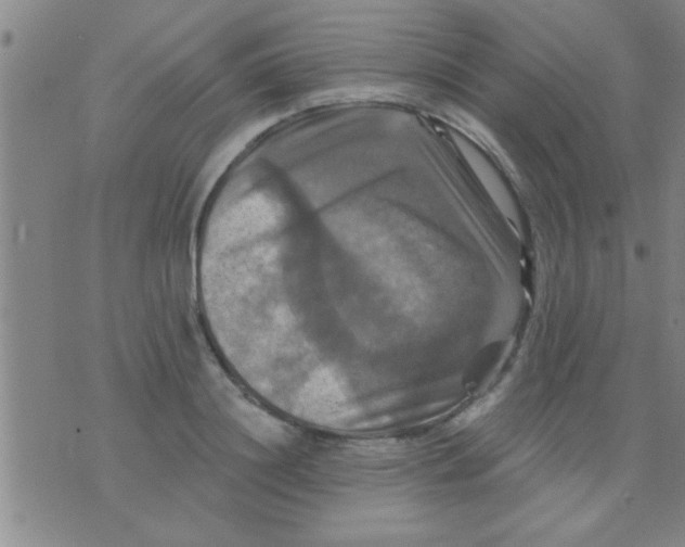 X0000075900844200610151814