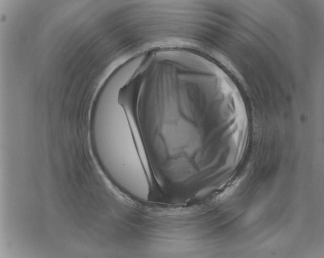 X0000075900845200610151814