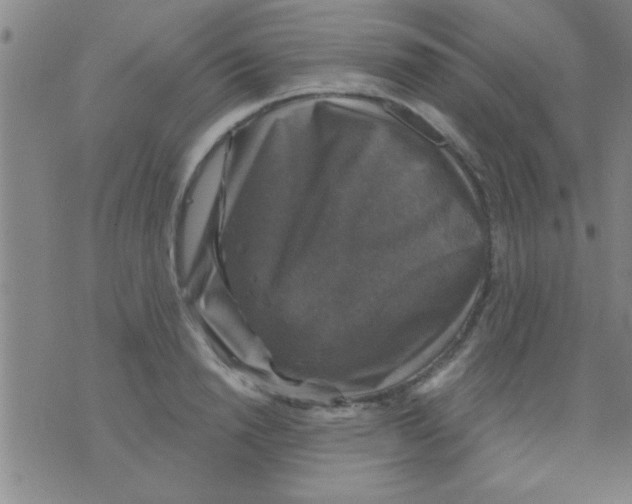 X0000075900846200610151814