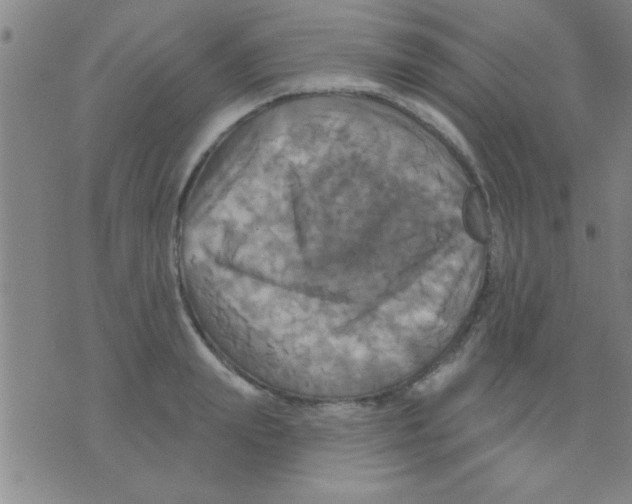 X0000075900847200610151814