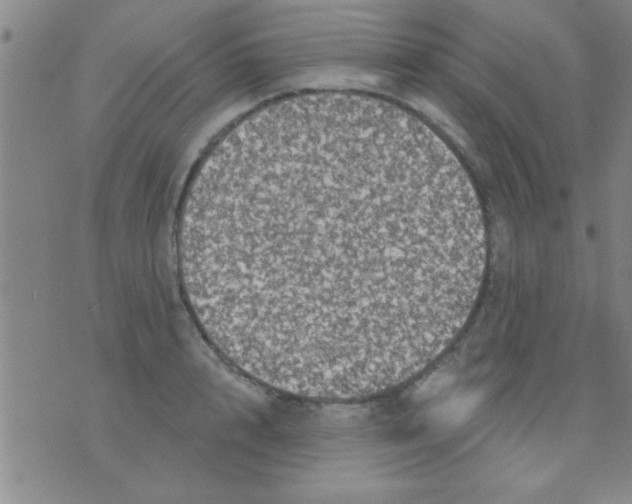 X0000075900848200610151814