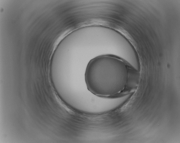 X0000075900850200610151814