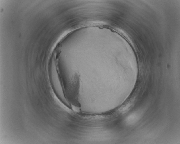 X0000075900851200610151814