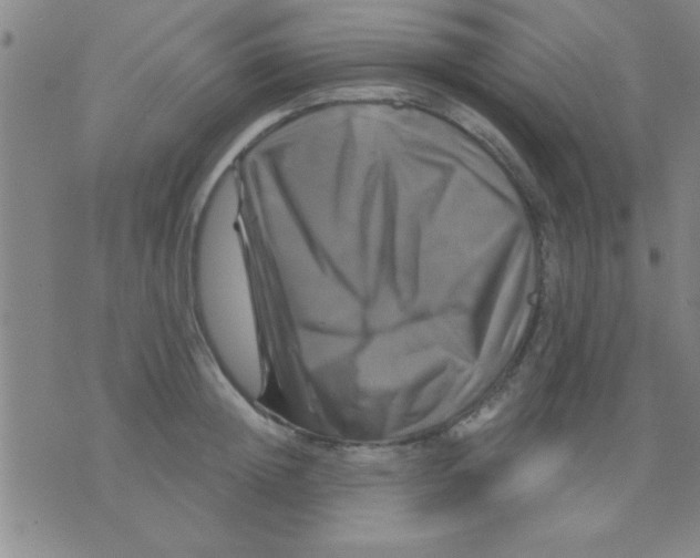 X0000075900852200610151814