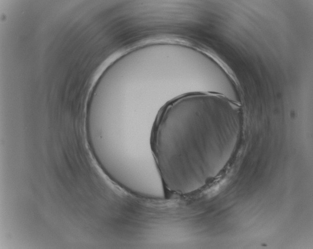 X0000075900853200610151814