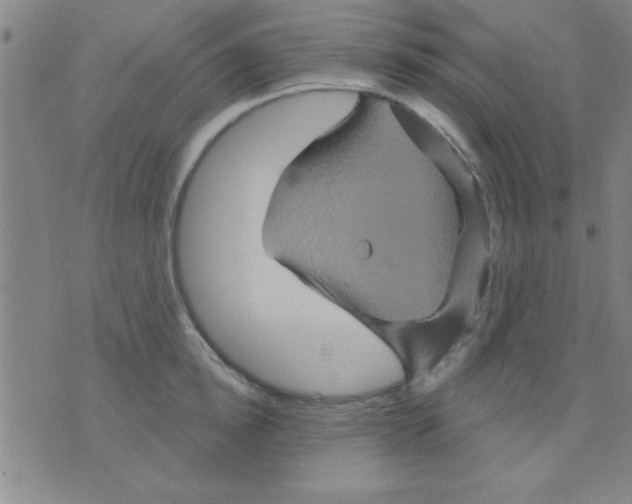 X0000075900854200610151814