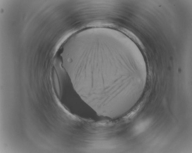 X0000075900855200610151814