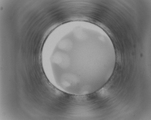 X0000075900856200610151814