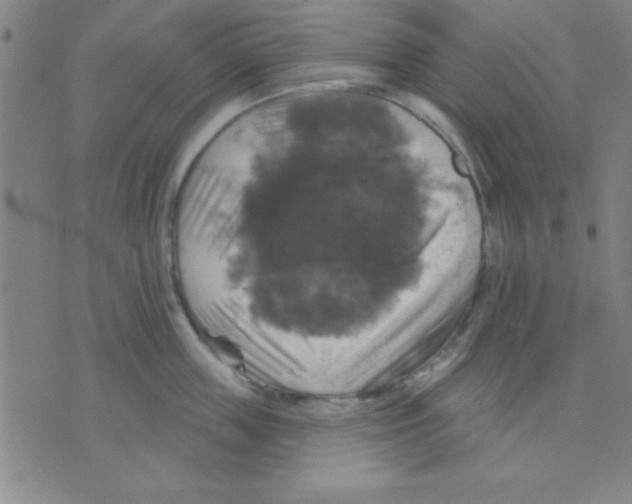 X0000075900859200610151814