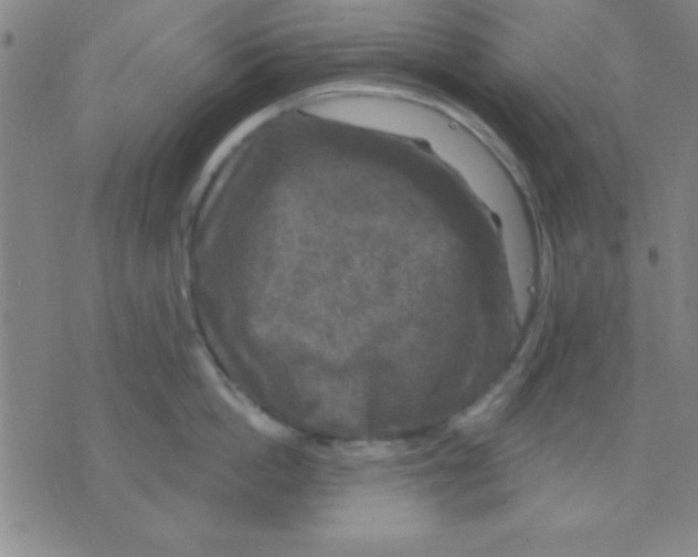 X0000075900862200610151814