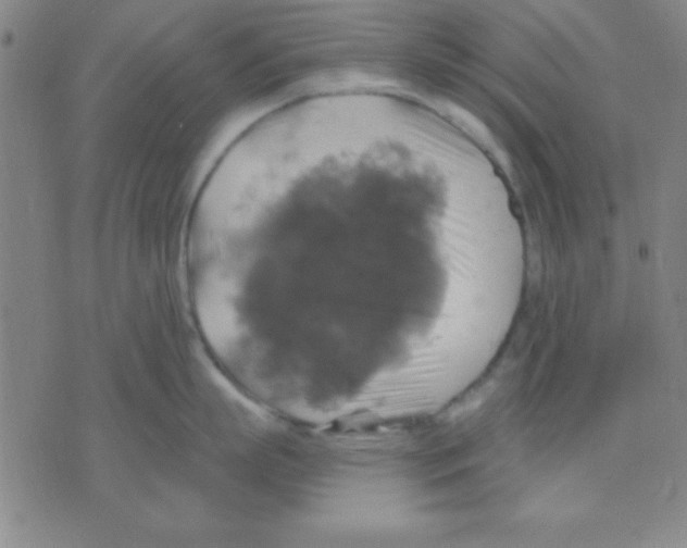 X0000075900863200610151814