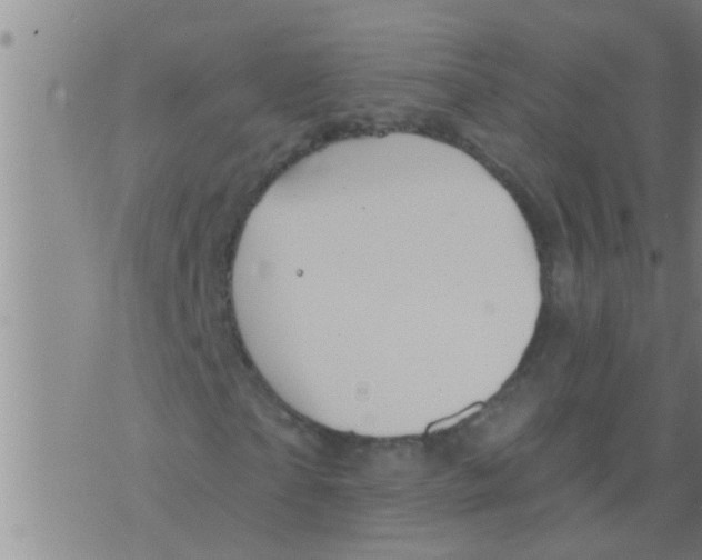 X0000075900865200610151814