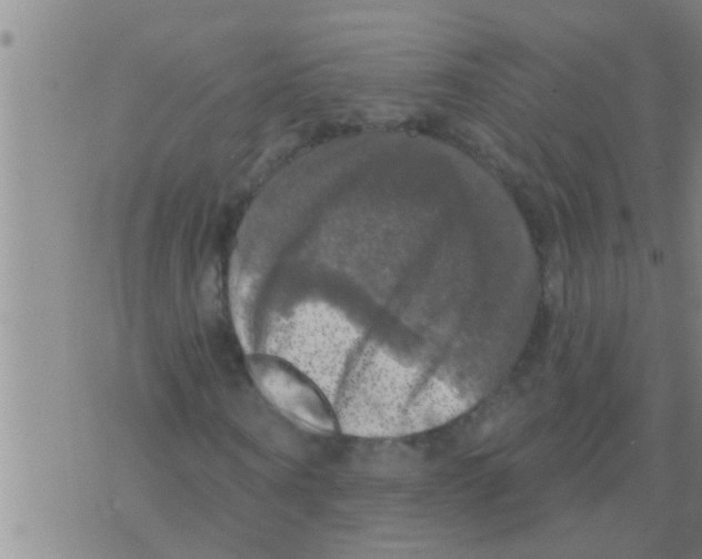 X0000075900866200610151814